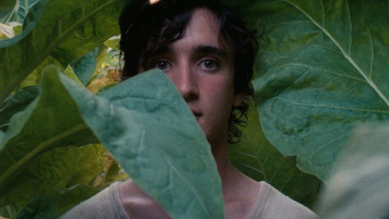 LAZZARO FELICE di Alice Rohrwacher