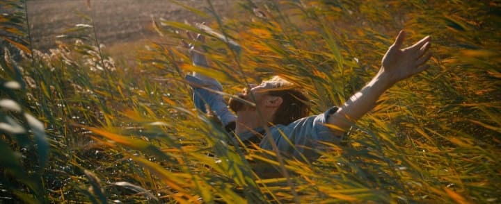 “VAN GOGH – SULLA SOGLIA DELL’ETERNITA’”: le CLIP “FORME E COLORI DI VAN GOGH” e “L’ENERGIA PULSANTE DELLA NATURA”