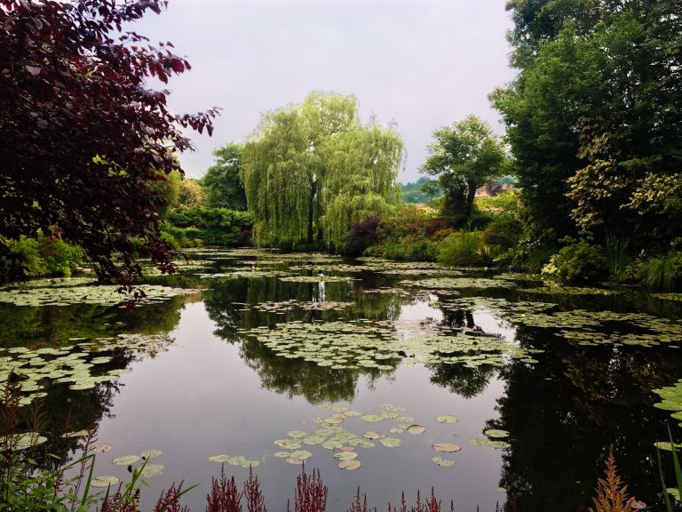 Su TIMVISION la grande arte con “Klimt & Schiele. Eros e Psiche” e “Le ninfee di Monet. Un incantesimo di acqua e di luce”