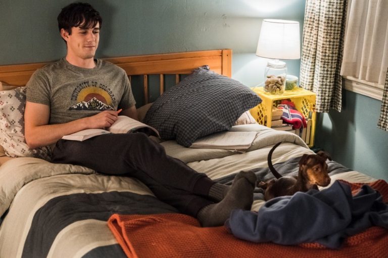 “UN VIAGGIO A QUATTRO ZAMPE”: il POSTER e il TRAILER del film al cinema il 14 marzo 2019