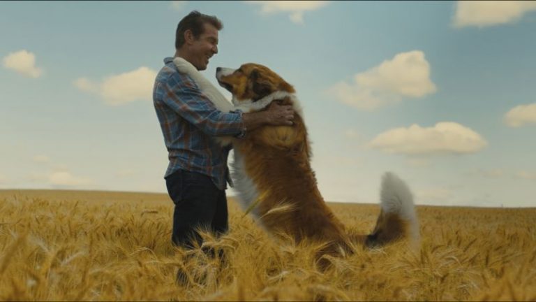 “A DOG’S JOURNEY” la Universal Pictures rilascia il PRIMO TRAILER UFFICIALE