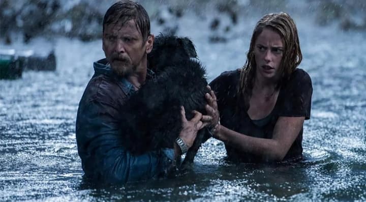 “CRAWL”: il Trailer Ufficiale in Italiano e Lingua Originale del thriller Horror prodotto da Sam Raimi e Craig Flores.