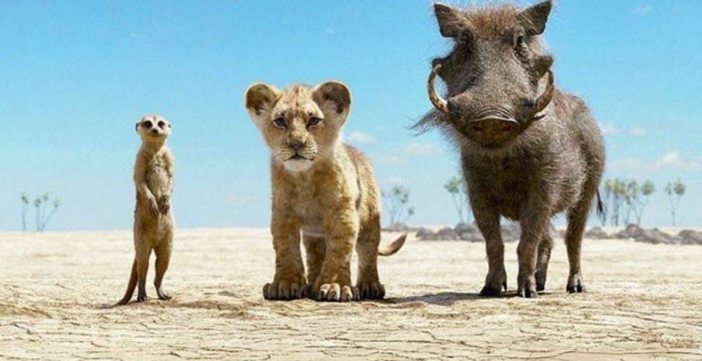 “Il Re Leone”, primo incasso dell’anno e di sempre della Disney in Italia