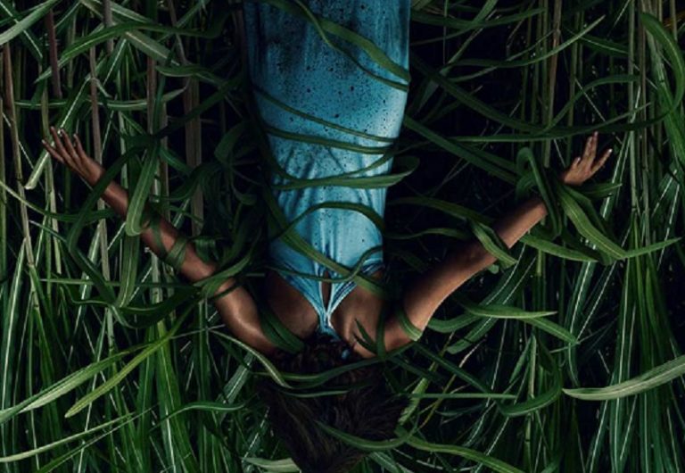 “In The Tall Grass”, Netflix svela la Data di Uscita e la Prima Immagine Ufficiale dell’adattamento del racconto di Stephen King
