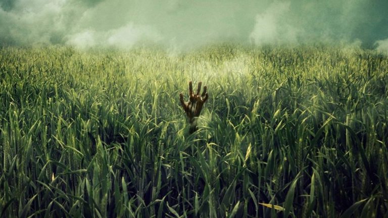 “Nell’erba alta”, il Primo Trailer Ufficiale dell’adattamento del racconto di Stephen King