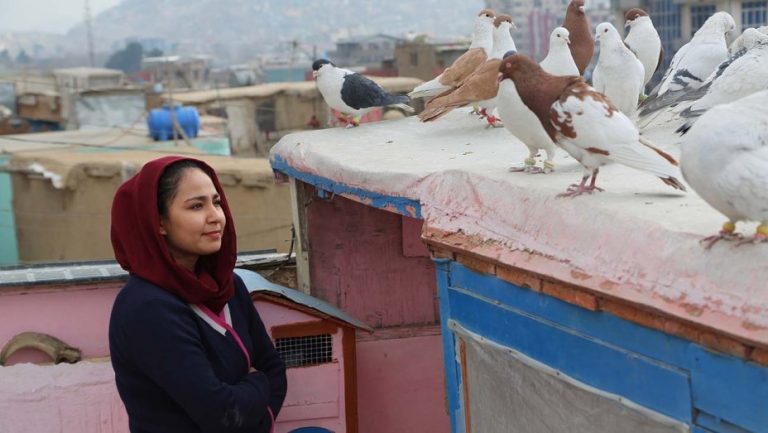 Oscar 2020: “Hava, Maryam, Ayesha” è il titolo che l’Afghanistan proporrà agli’Academy per la prossima edizione degli Oscar