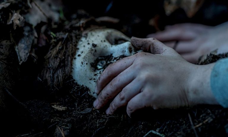 “Brahms – The Boy 2”, il Trailer Ufficiale del sequel nei cinema a febbraio