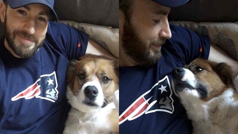 Chris Evans, il suo amico a quattro zampe e la toeletta fai da te fallita