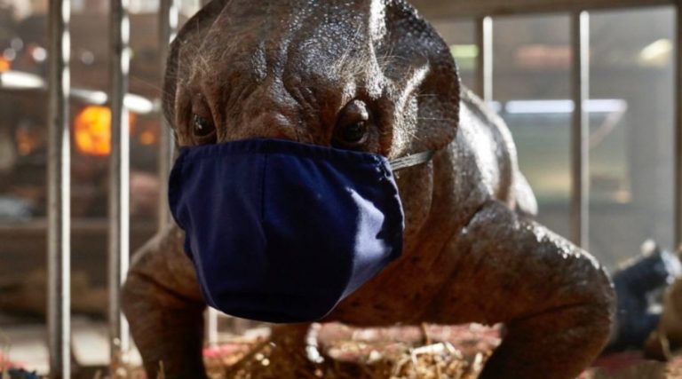 Jurassic World - riprese - Think Movies