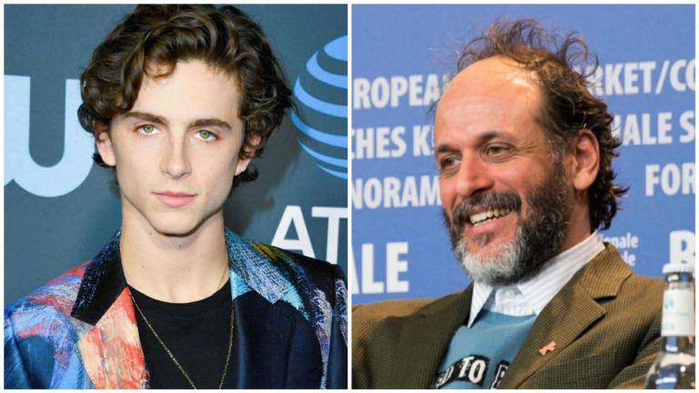 “Bones & All”: Luca Guadagnino potrebbe tornare a dirigere Timothée Chalamet