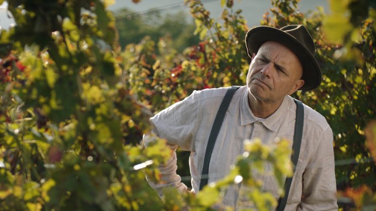 “FROM THE VINE”: venduto da Minerva Pictures conquista il box office neozelandese