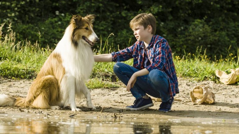 “Lassie torna a casa”: torna al cinema 10 giugno l’amato Colin – il Poster e il Trailer