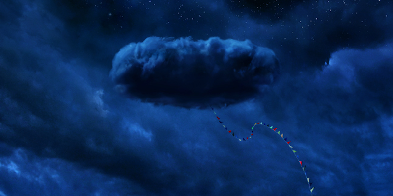 Nope: Jordan Peele annuncia il suo nuovo horror