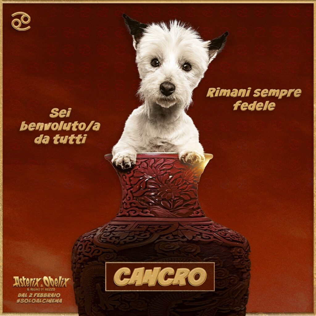 Asterix & Obelix - Cancro