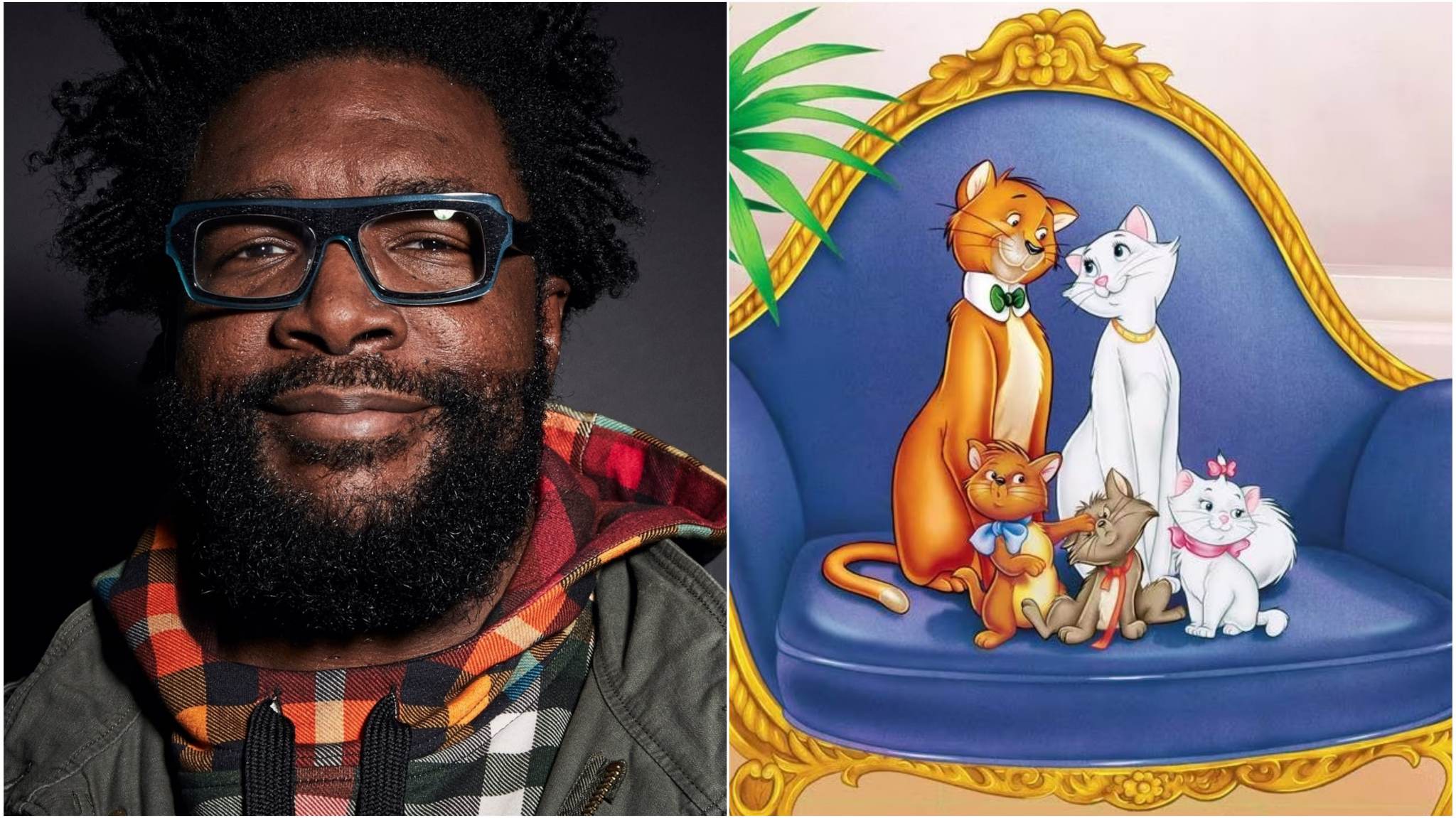 immagini cover di un uomo e gatti