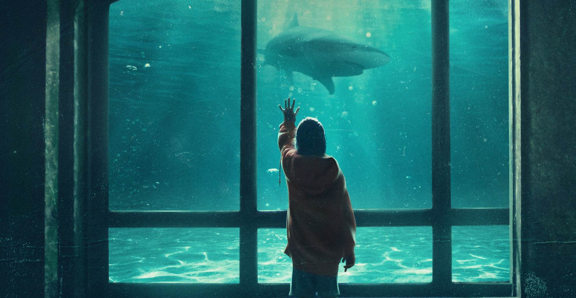 Denti da squalo - copertina - poster - think movies