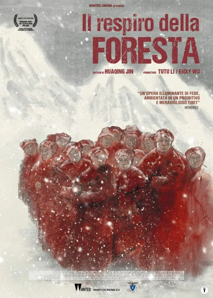 il respiro della foresta poster