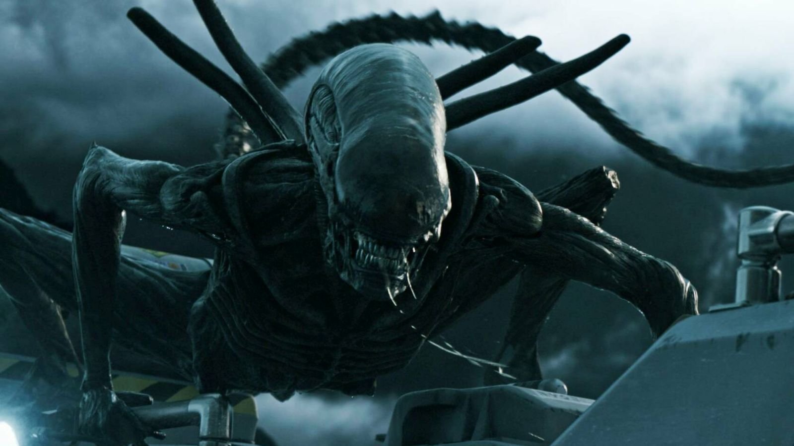 immagine film alien