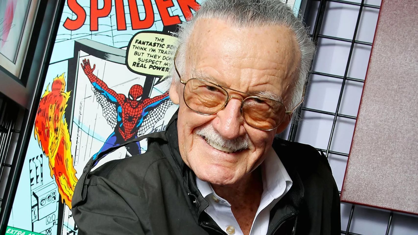 immagine stan lee
