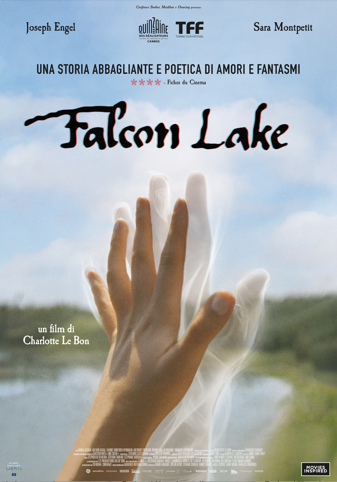 poster falcon lake