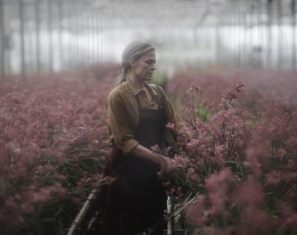 immagine serie The Lost Flowers of Alice Hart