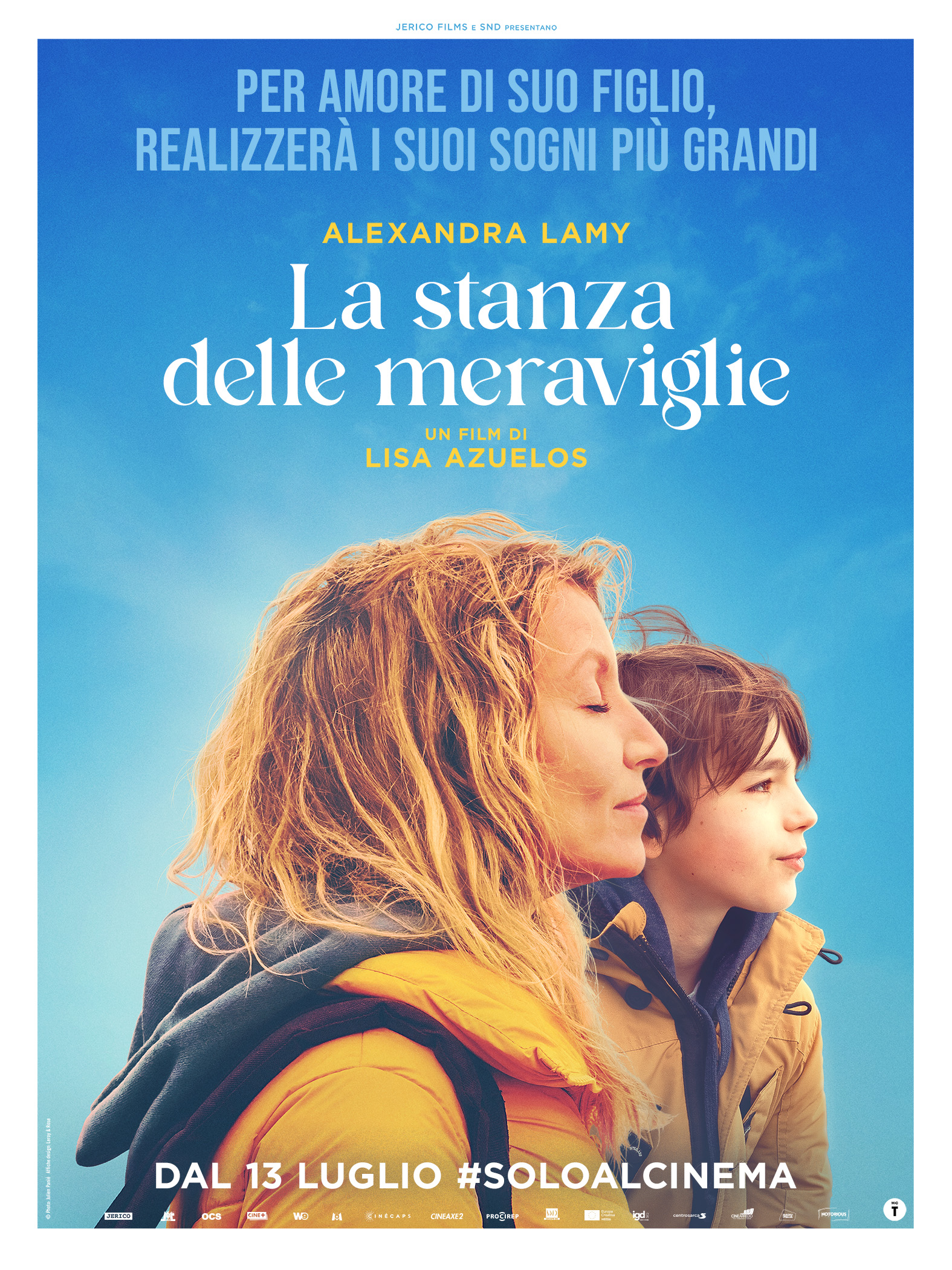 poster film la stanza delle meraviglie