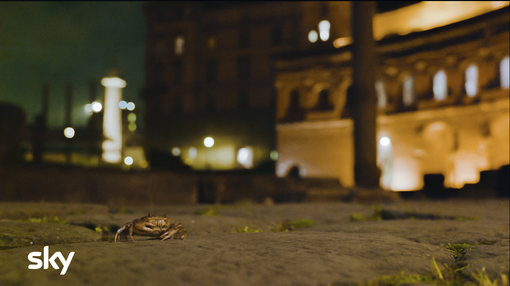 immagine l'impero della natura. Una notte al parco del colosseo