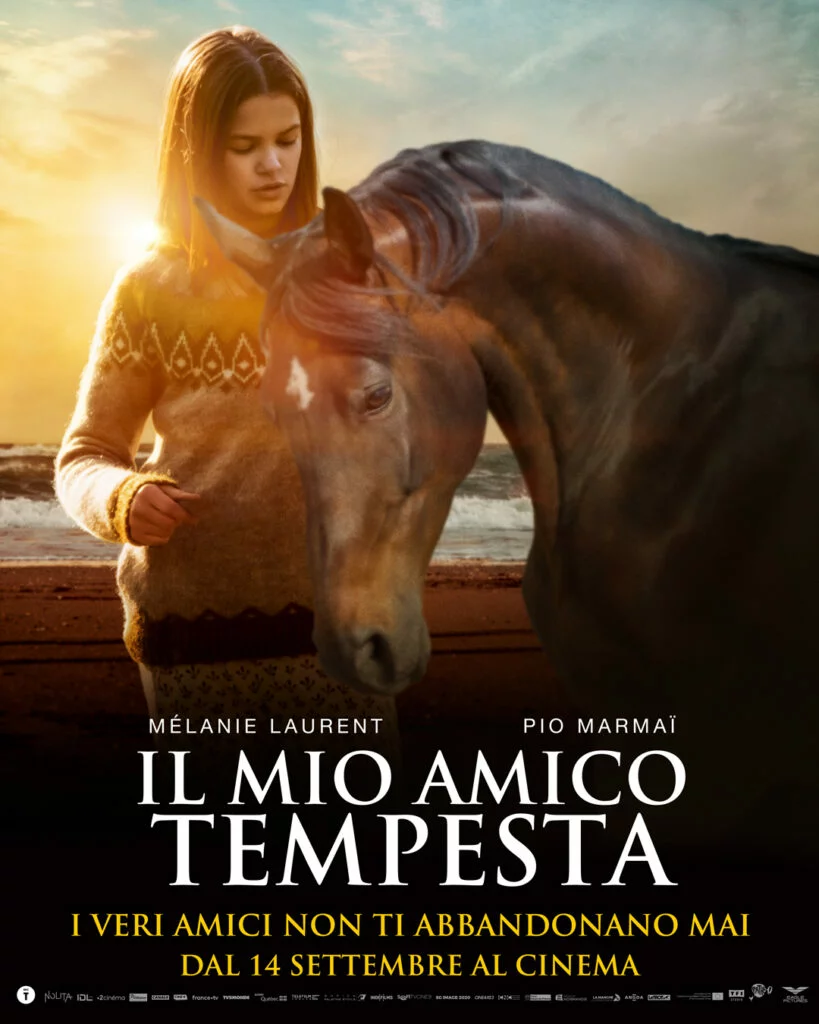poster film il mio amico tempesta