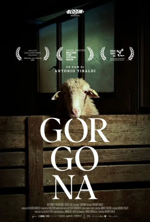 poster gorgona