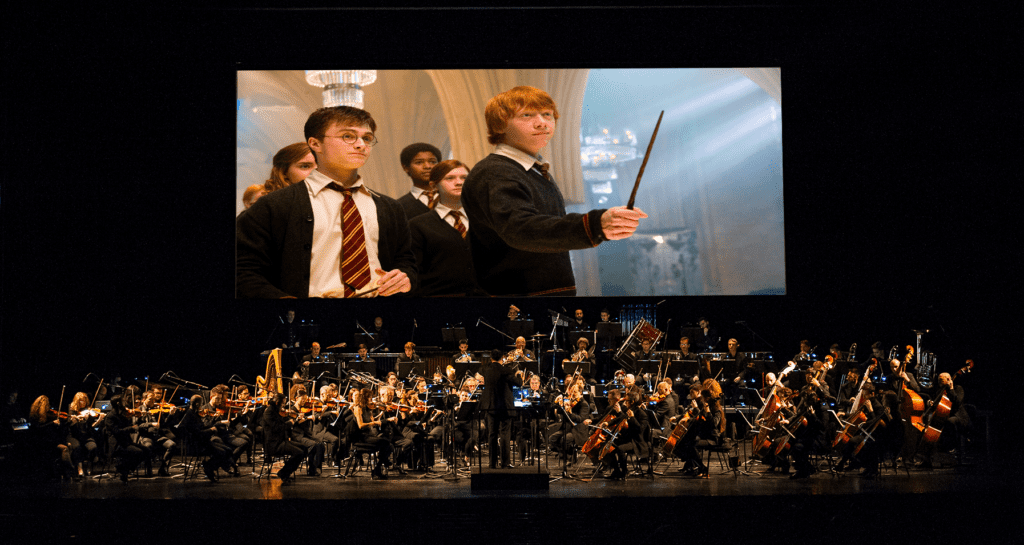 immagine concerto harry potter e l'ordine della fenice