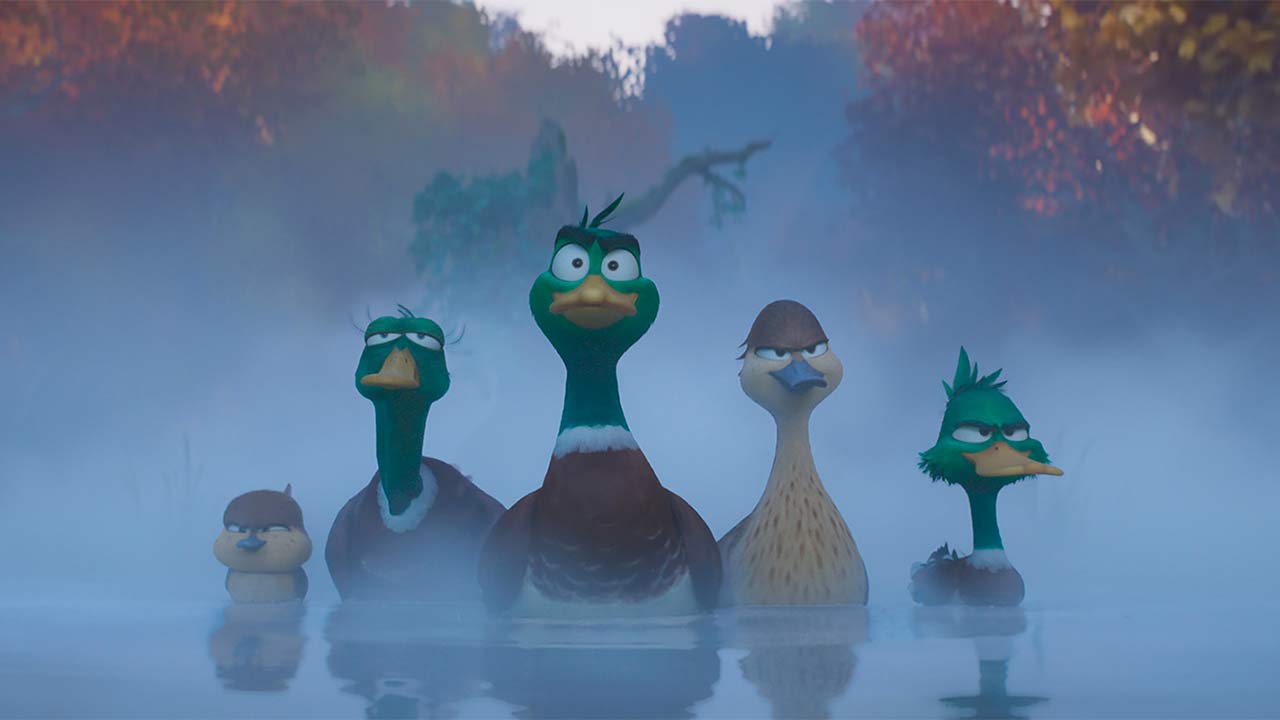 immagine animazione prendi il volo