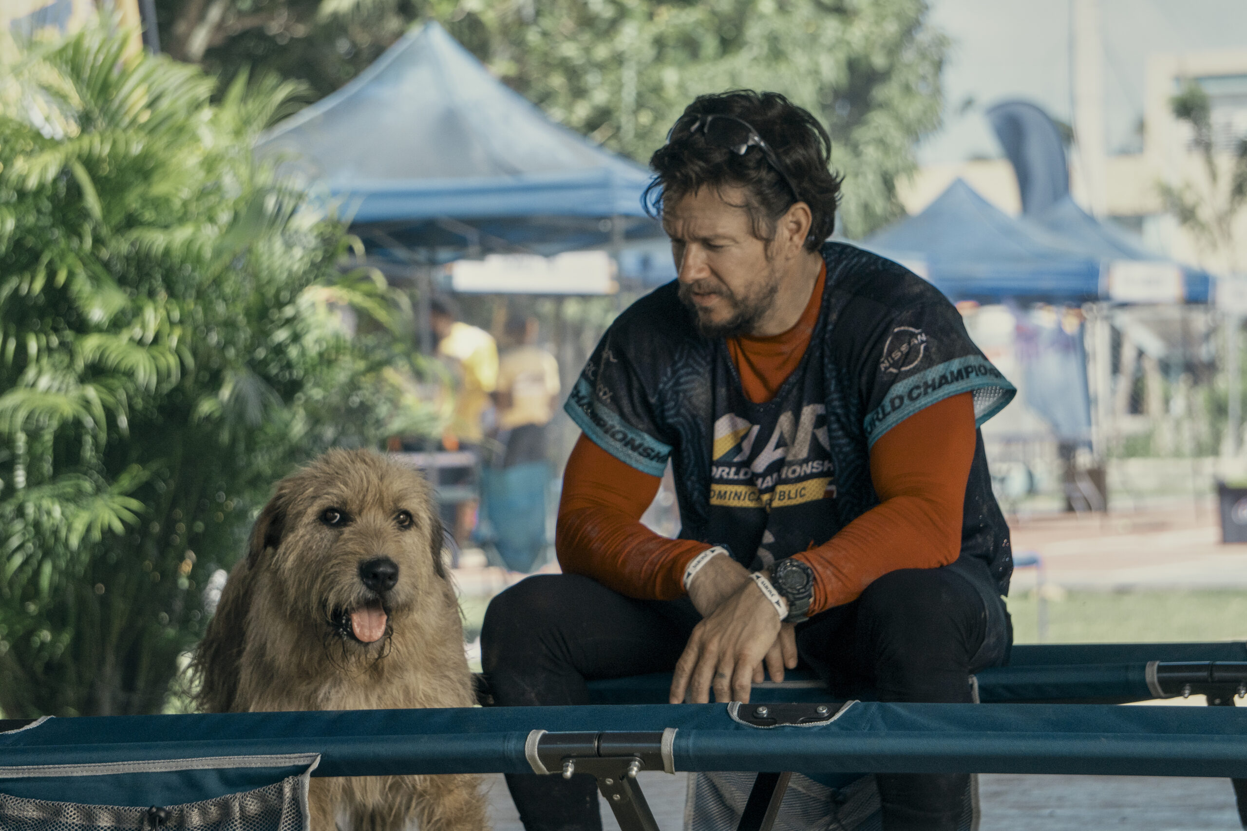 Arthur the King: il primo trailer del film con Mark Wahlberg - Thinkmovies