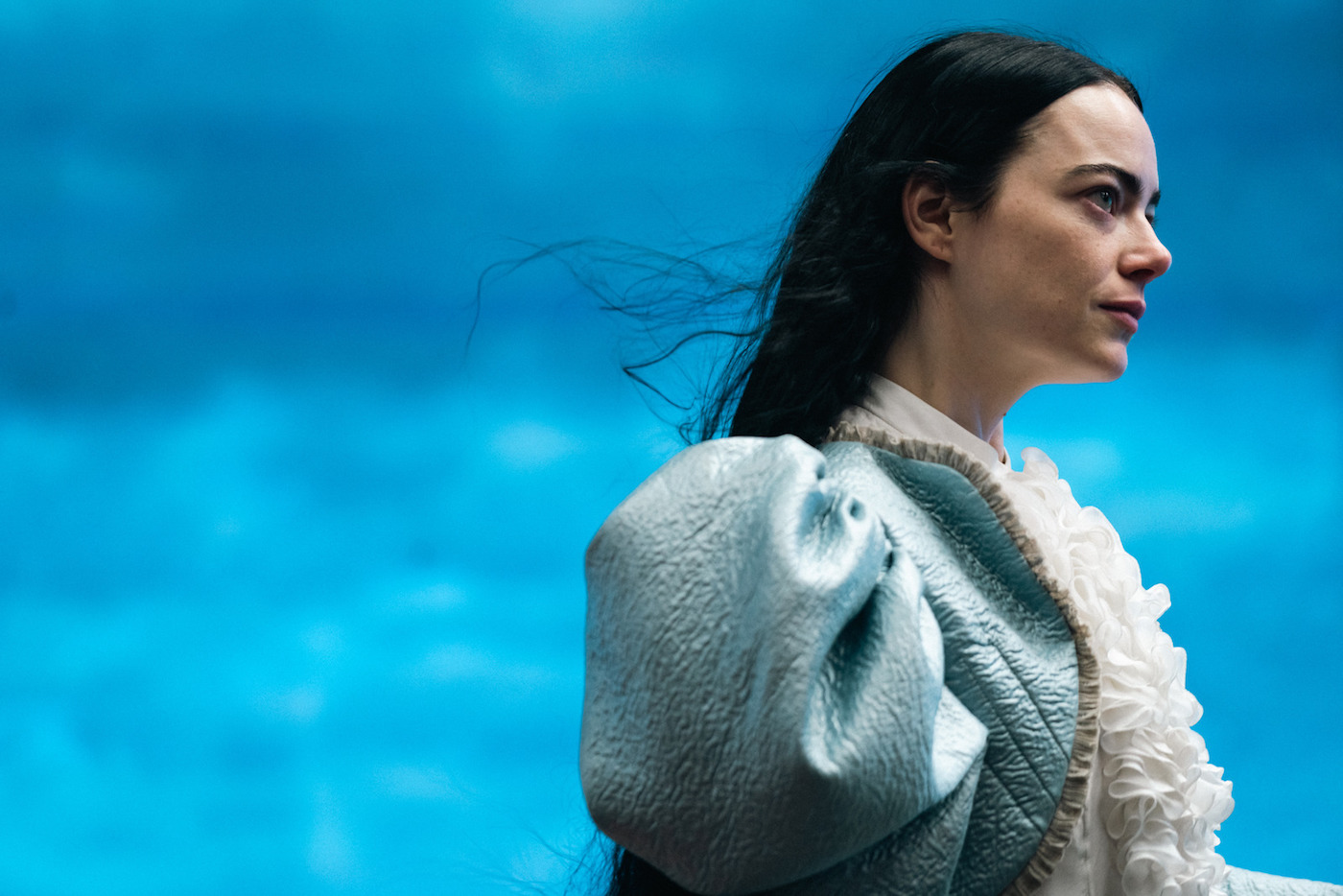 Poor Things!: il nuovo trailer internazionale