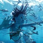 immagine avatar la via dell'acqua