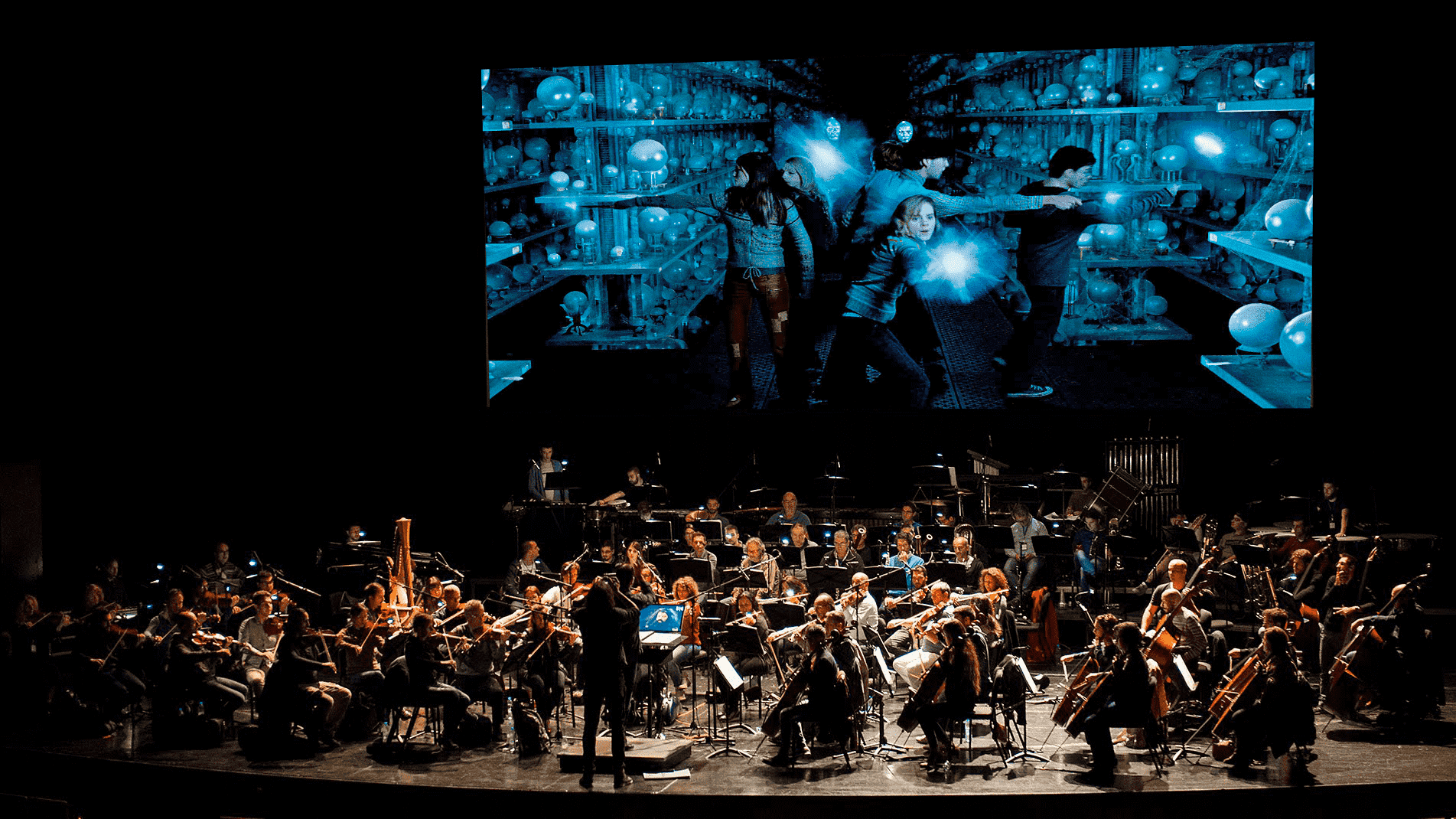 immagine concerto harry potter