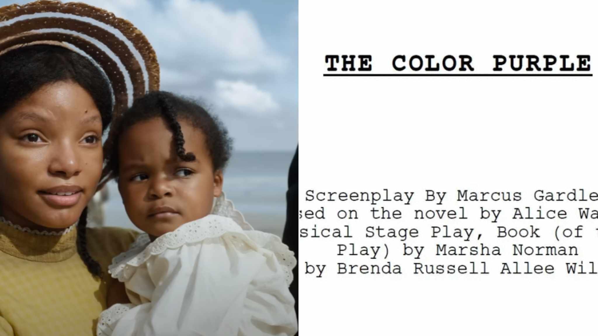 collage immagini sceneggiatura film il colore viola