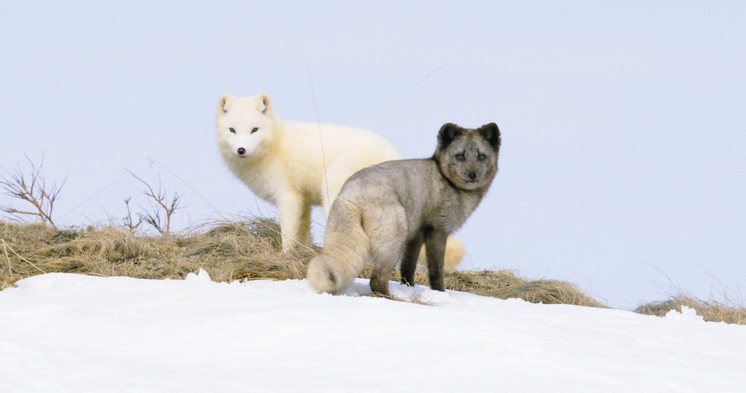 scena kina e yuk alla scoperta del mondo