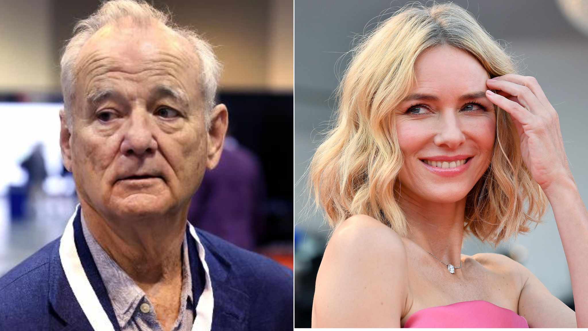 The Friends: Bill Murray e Naomi Watts protagonisti del film di Scott McGehee e David Siegel