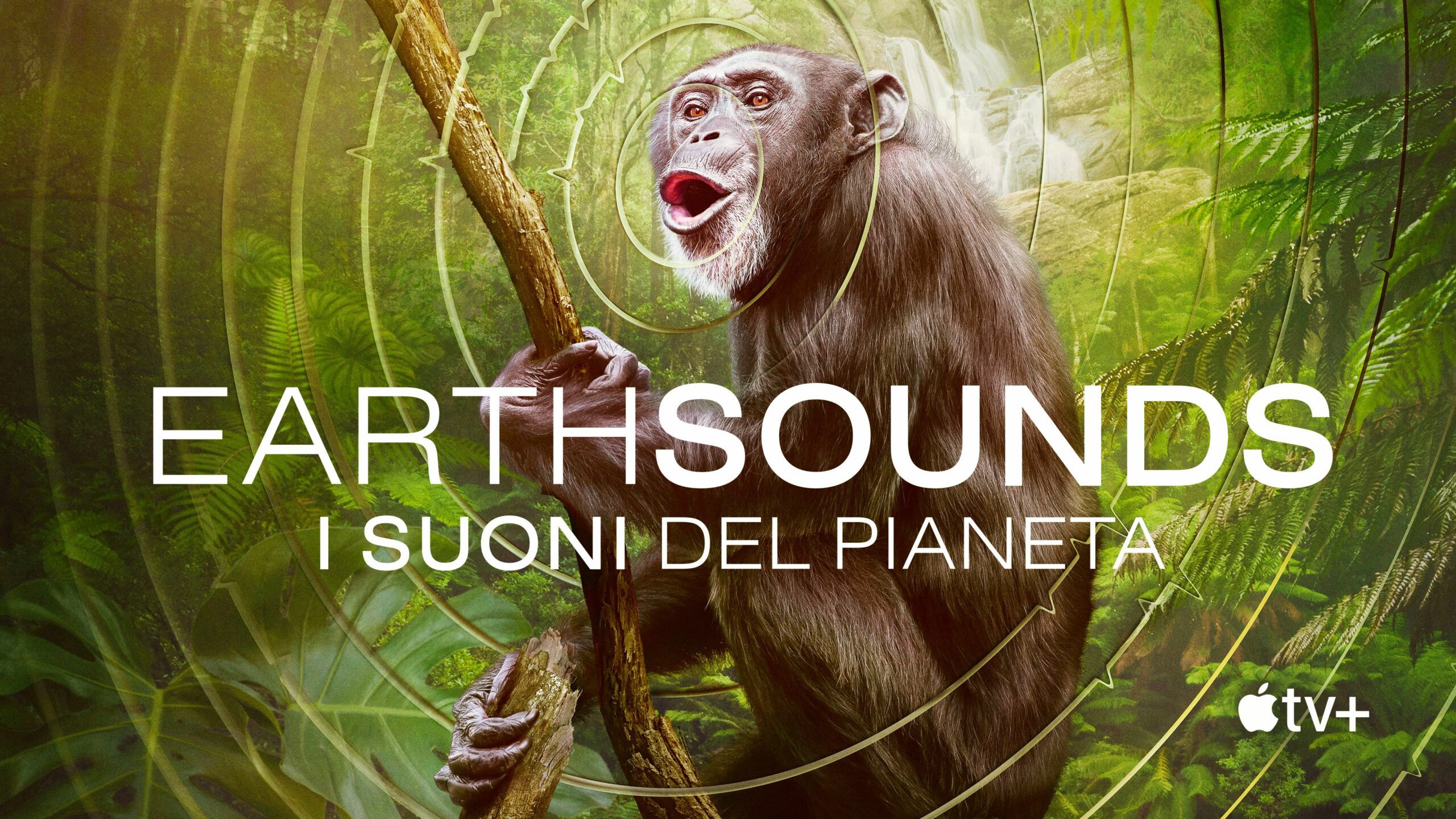 Earthsounds: i suoni del pianeta, il trailer della docuserie narrata da Tom Hiddleston