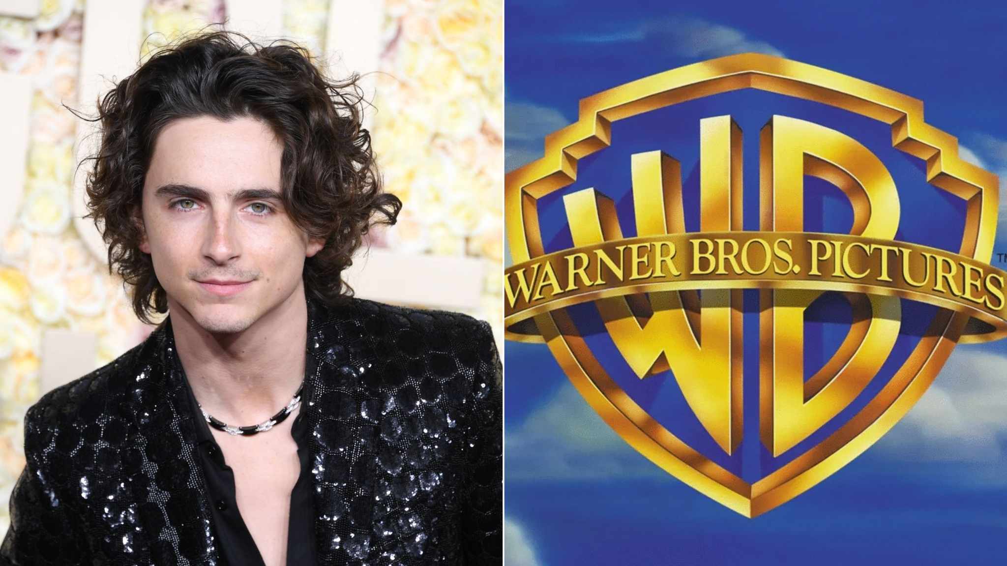 Timothée Chalamet firma un accordo pluriennale con la Warner Bros.