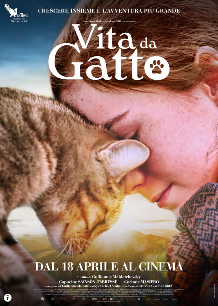 poster vita da gatto