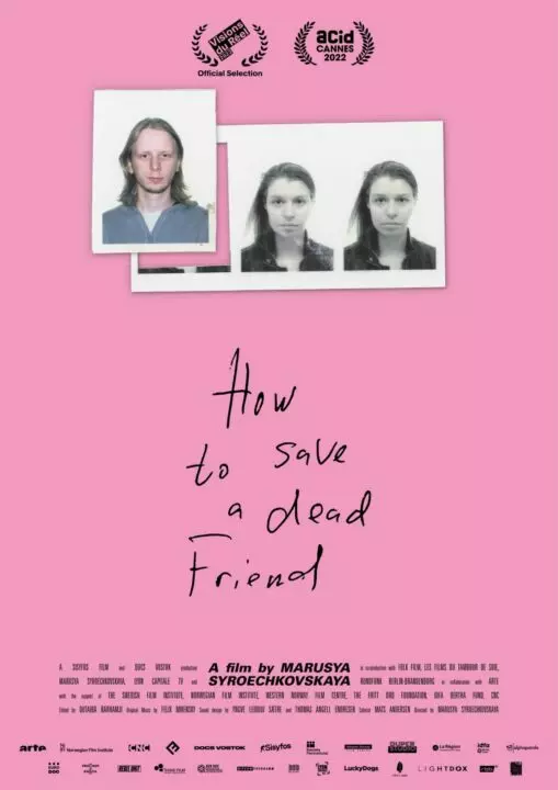 HOW TO SAVE A DEAD FRIEND poster