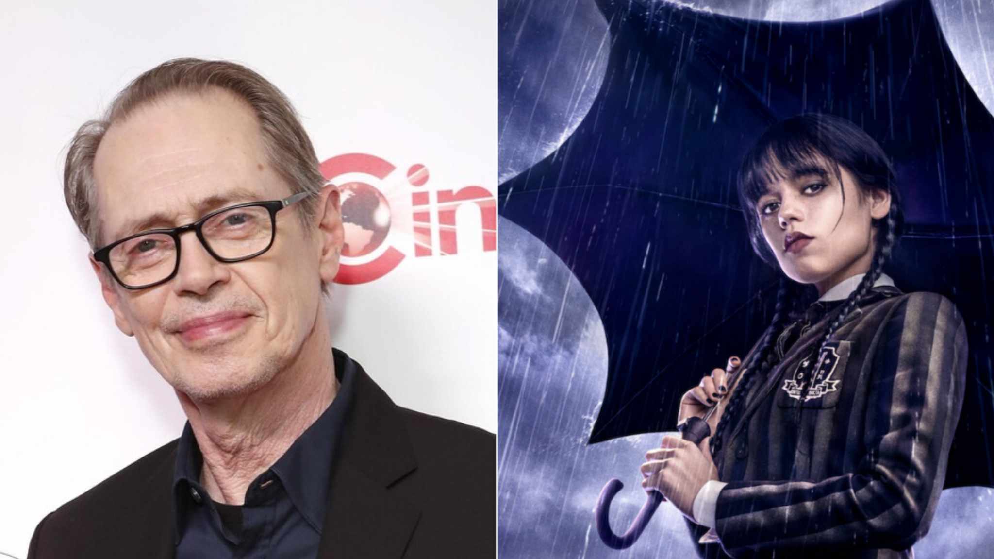 copertina steve buscemi e meercoledì