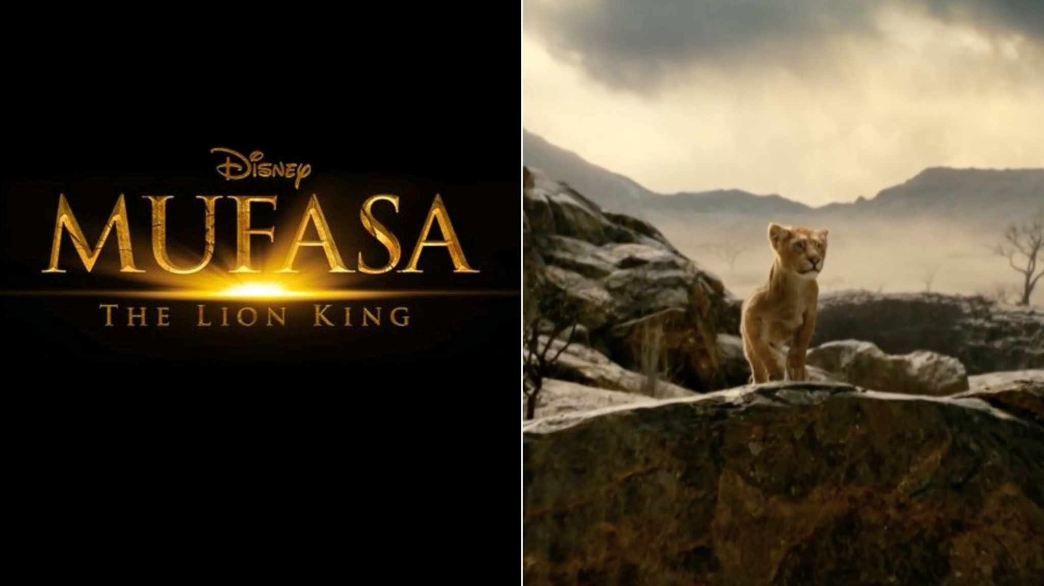 Mufasa: The Lion King, la prima immagine ufficiale del prequel de Il Re Leone