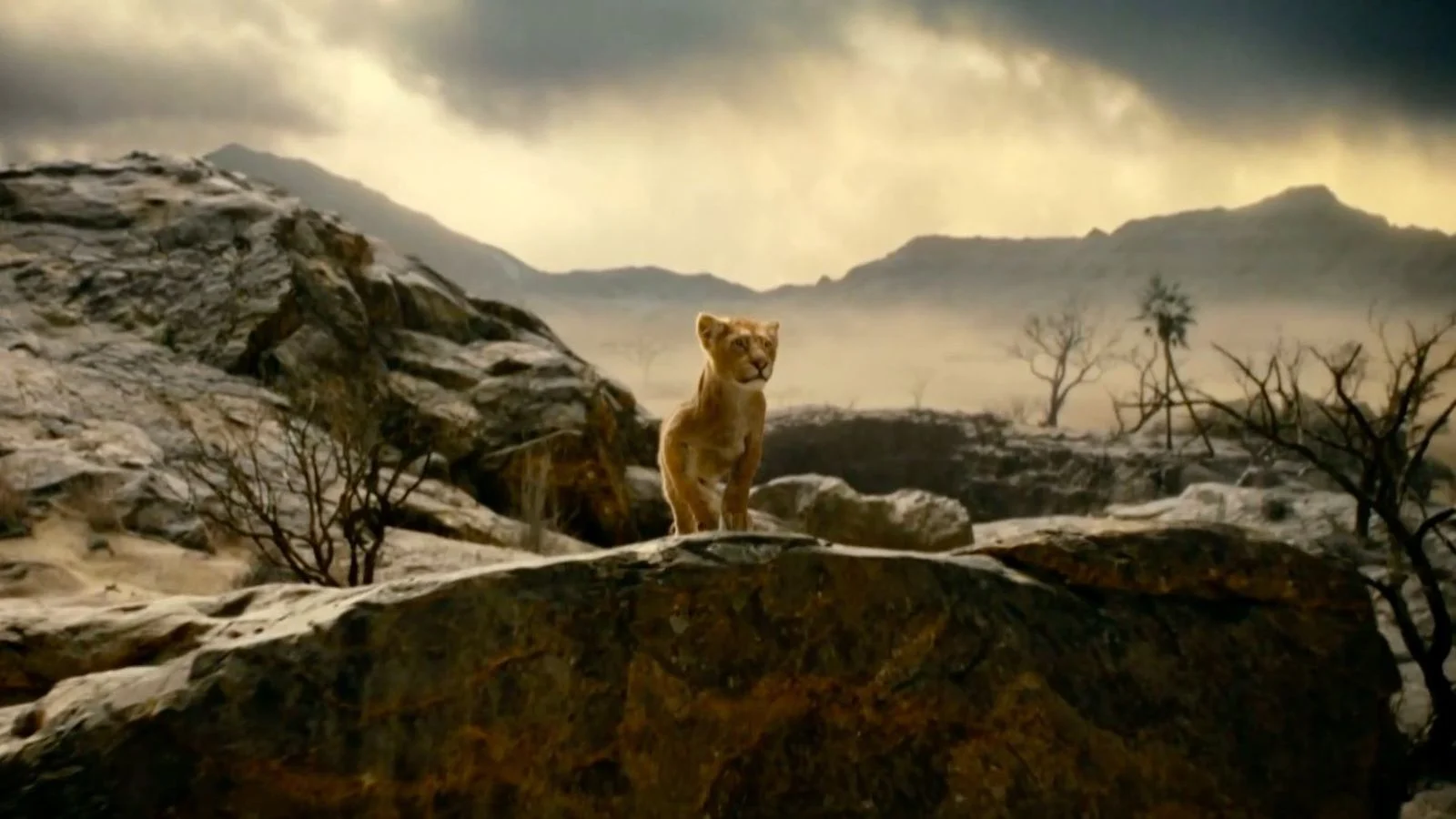 Mufasa: Il Re Leone, il primo trailer dell’atteso live-action a dicembre nei cinema