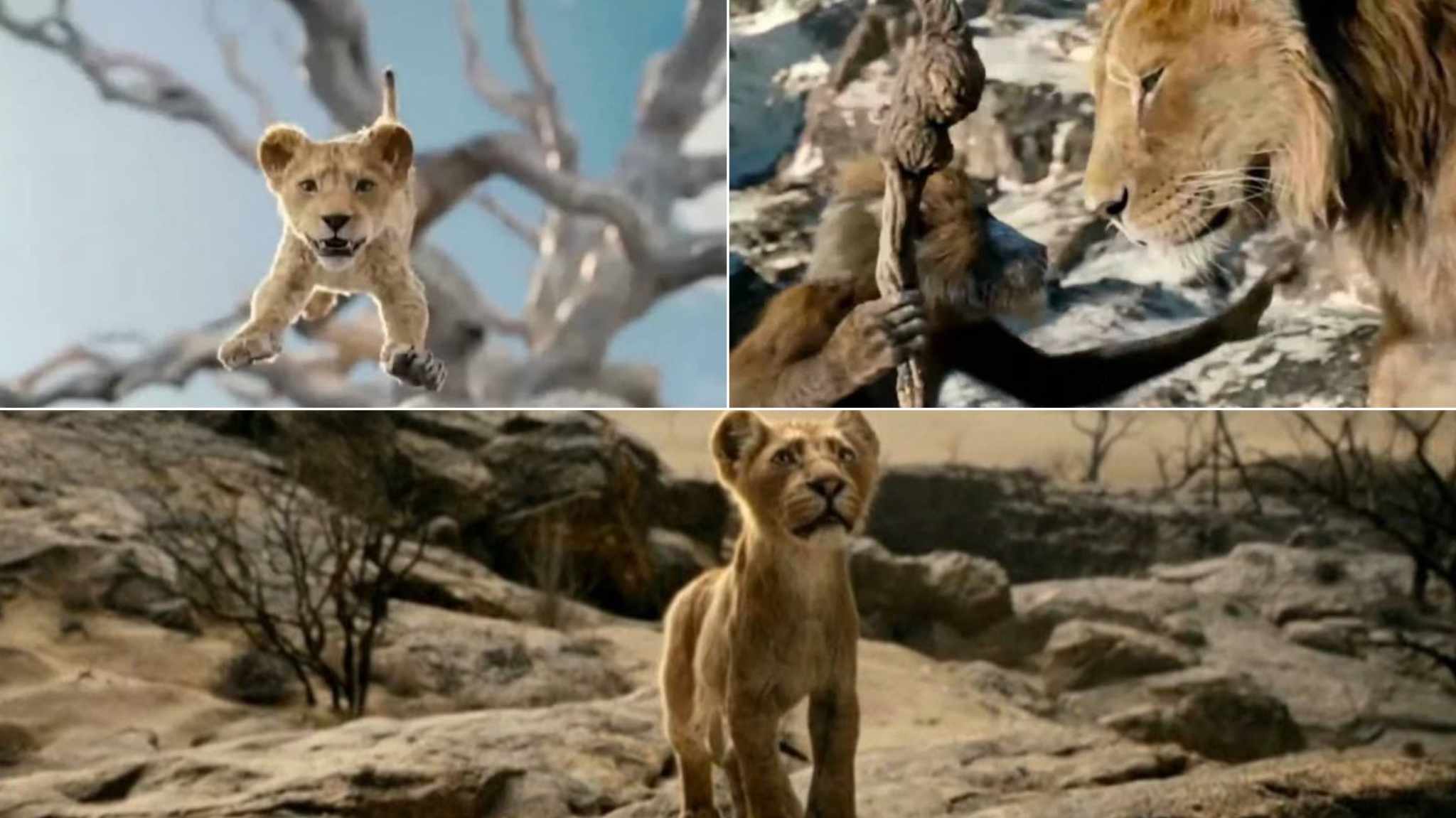 Mufasa: The Lion King, le prime scene del prequel in un brevissimo teaser