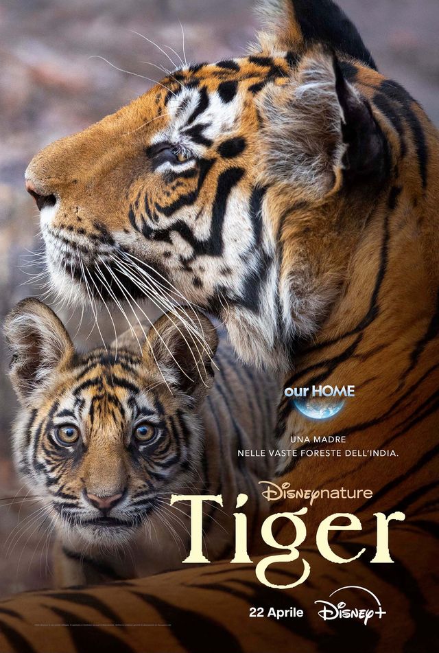 key art docufilm disney+ tiger