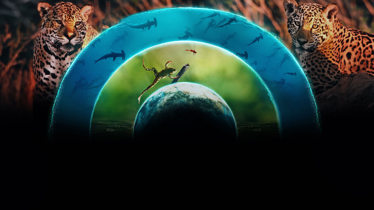 copertina un mondo di vita