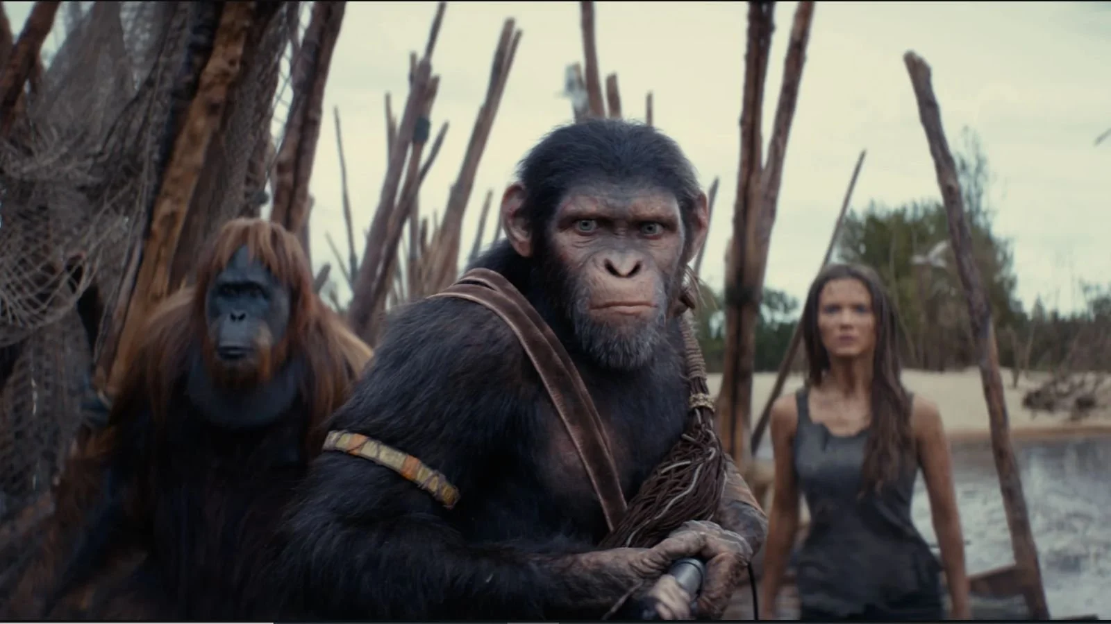 Box Office Italia Weekend dal 9 al 12 maggio 2024: Il Regno del Pianeta delle Scimmie conquista il botteghino