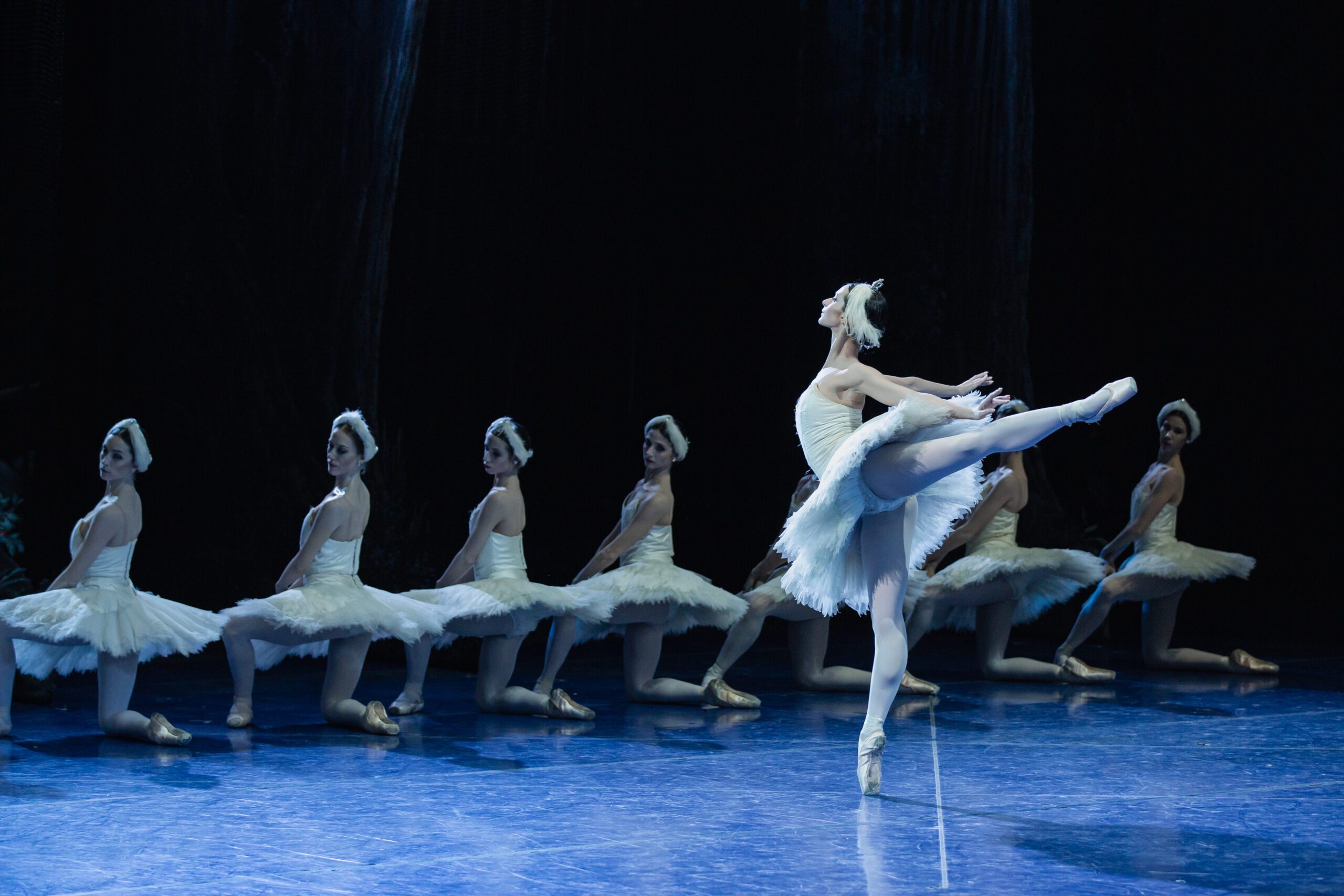 Il Lago dei Cigni firmato da Benjamin Pech a Roma e Barcellona
